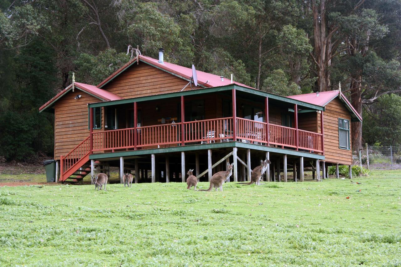 沃波尔荒野山林小屋 外观 照片